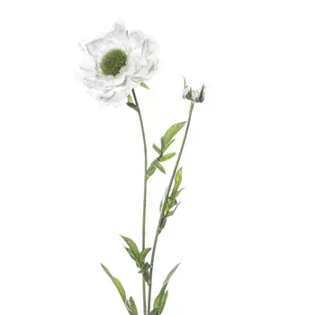 Искусственные цветы Silk-ka Скабиоза 68см, цвет кремовый