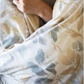 Комплект постельного белья семейный Emanuela Galizzi Caldo Cotone 2457, бежевый