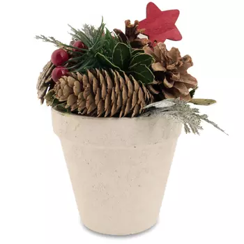 Композиция в горшке Hogewoning Arrangements Berry Star