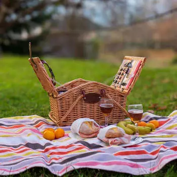 Корзина для пикника WD Lifestyle Austin на 2 персоны, цвет коричневый