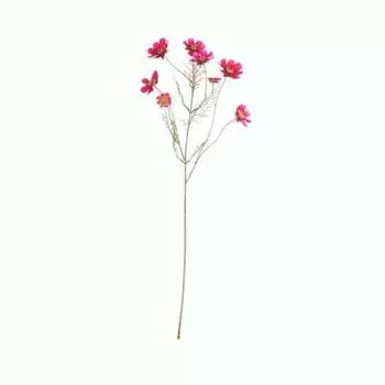 Космея декоративная Asa Selection Deko 76см