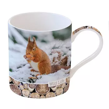 Кружка 350мл Easy Life Squirrel в подарочной коробке