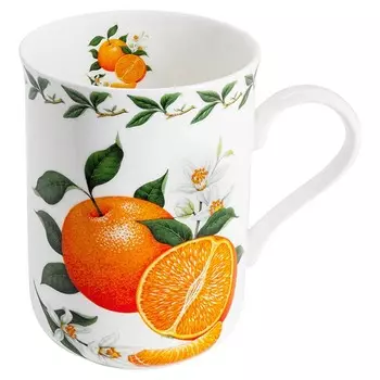 Кружка Maxwell & Williams Фрукты Апельсин