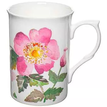 Кружка Rose of England Шиповник