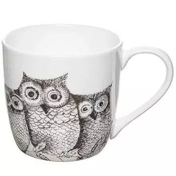 Кружка Rose of England Жители леса. Совы