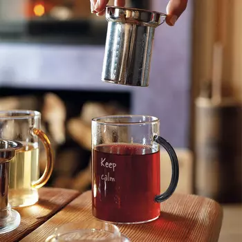 Кружка с фильтром WD Lifestyle Monterey 420мл