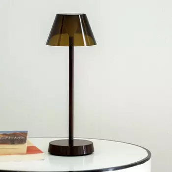 Лампа настольная портативная WD Lifestyle New York coffee