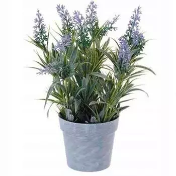 Лаванда в горшке Гарда Декор 15x15x27см