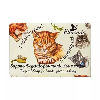 Мыло туалетное Florindia Домашние Любимцы. Полосатый кот (лайм)
