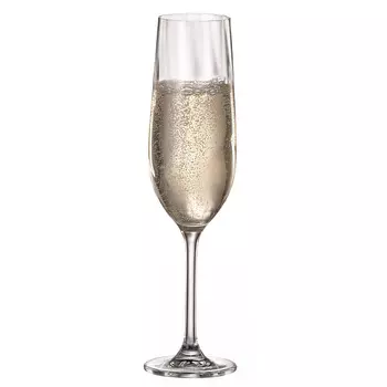 Набор бокалов для шампанского Crystal BOHEMIA Crex Optic 270мл, 2шт