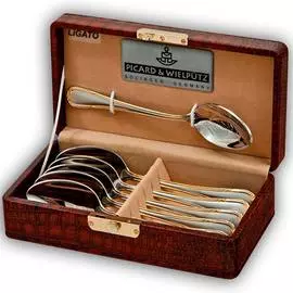 Набор чайных ложек PICARD &amp; WIELPUTZ LIGATO, 6 предметов