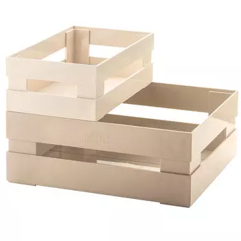 Набор из 2 ящиков Tidy &amp; Store бежевый