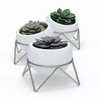 Набор из 3 горшков для растений на подставке Umbra Potsy