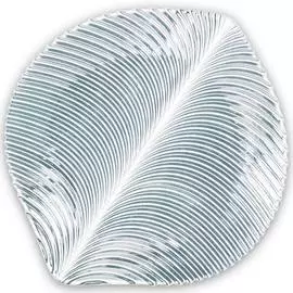 Набор тарелок для салата Nachtmann Mambo 23см, 2шт