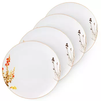 Набор тарелок обеденных Zapel Mushroom 4 предмета