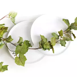 Набор тарелок Top Art Studio Шер 27см, 2шт