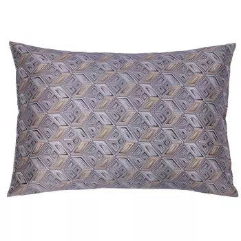 Наволочка 50х70см Mollen Геометрия Санкт-Петербурга Дельта Невы в серебристо-сером