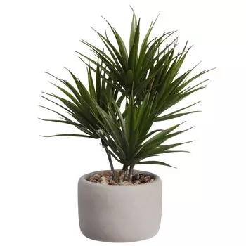 Пальма бонсай в белом горшке Asa Selection Bonsai