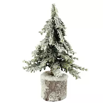 Плакучая ель в горшке Hogewoning Trees