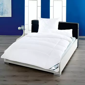 Подушка 70x70см Frankenstoltz f.a.n.: Klima Active Plus