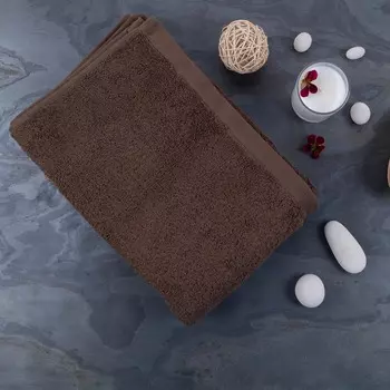 Полотенце махровое Lameirinho Aqua 70x140см, цвет коричневый