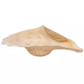 Ракушка Jozefina Перламутр