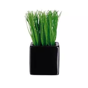 Растение декоративное Asa Selection Deko Трава в черном горшке