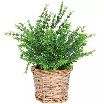 Растение в горшке Гарда Декор 15x15x28см