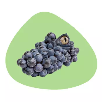 Салфетка сервировочная WD Lifestyle Mykonos Alligator