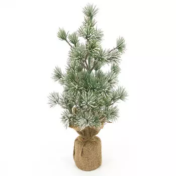 Сосна новогодняя в мешке Hogewoning Trees