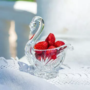 Соусник Неман Лебедь