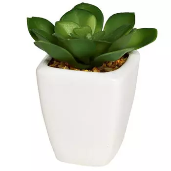 Суккулент в горшочке 9см Гарда Декор