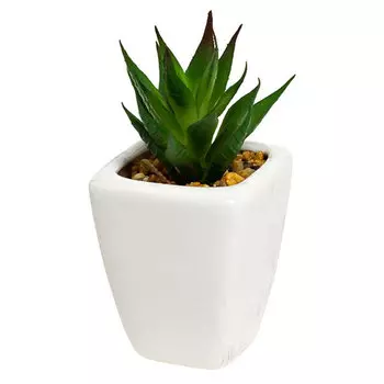 Суккулент в горшочке Гарда Декор 11см