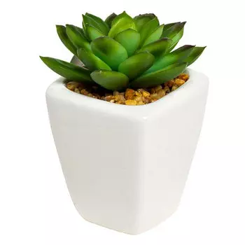 Суккулент в горшочке Гарда Декор 9см