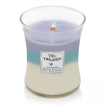 Свеча ароматическая средняя Woodwick Успокаивающий ретрит