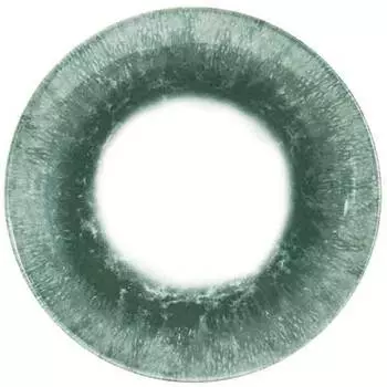 Тарелка обеденная Churchill Оракл Грин