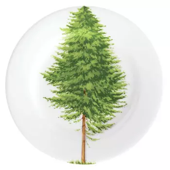 Тарелка пирожковая Taitu Freedom. Wood