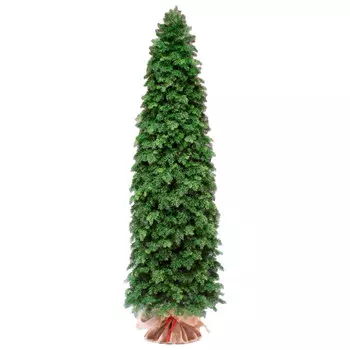 Туя ElkaDe 210см