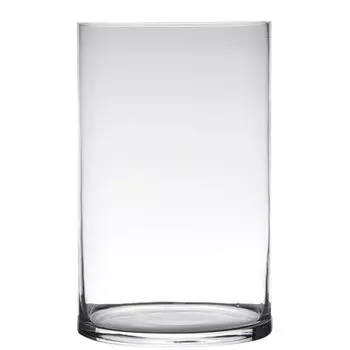 Ваза Hakbijl Glass Cylinder 25см