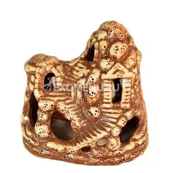 30 Отшельник