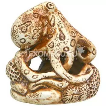 58 Осьминожка