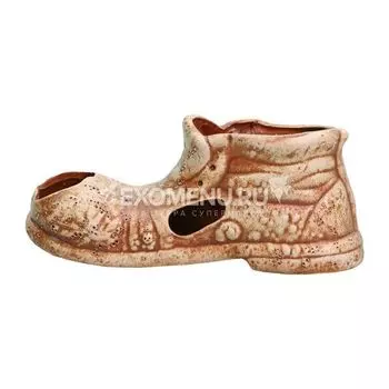 59 Башмак большой