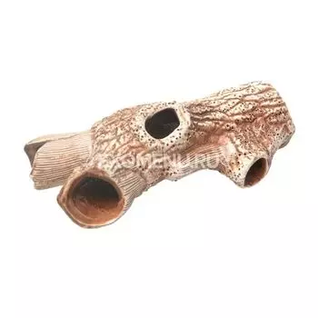 73 Коряга средняя