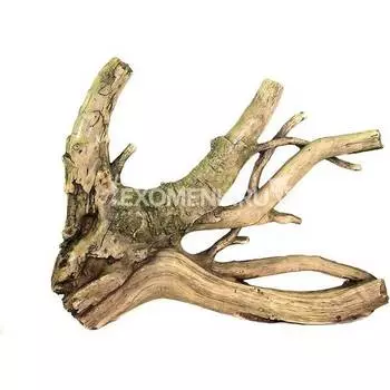 742 Грот Декси - Коряга 50*10*40 см, односторонний декоративный элемент