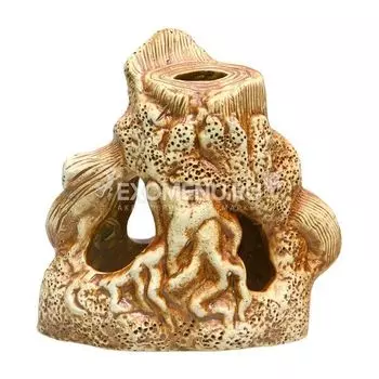 76 Пень средний