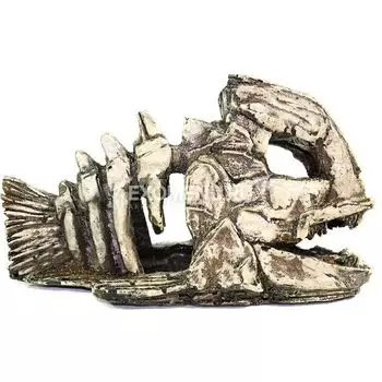 901 Грот Декси - Скелет рыбы 22*11*14 см