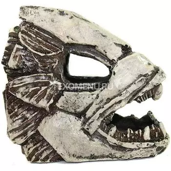 902 Грот Декси - Скелет рыбы 22*11*20 см