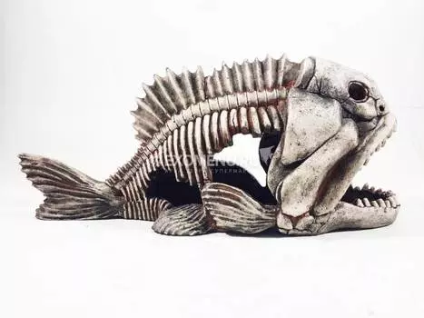 904 Грот Декси - Скелет рыбы 44*17*20 см