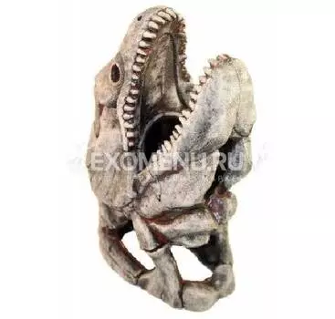 905 Грот Декси - Скелет рыбы 27*17*40 см