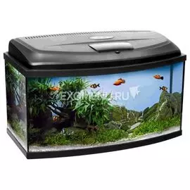 Аквариум AQUAEL AQUA4HOME 80 фигурный, укомплектован оборудованием